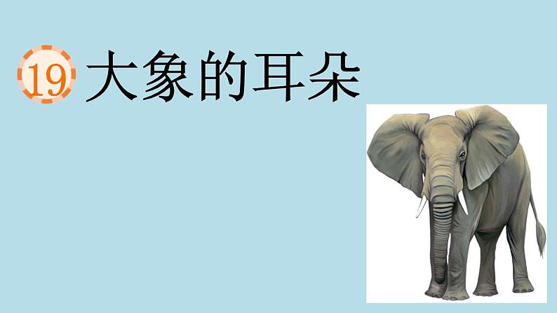 《大象的耳朵》视频’教案课件试题02