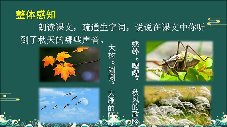 7 听听，秋的声音 课件-部编版语文三年级上册07