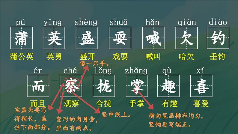 16 金色的草地 课件-部编版语文三年级上册08