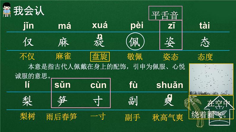 22 读不完的大书 课件-部编版语文三年级上册第4页