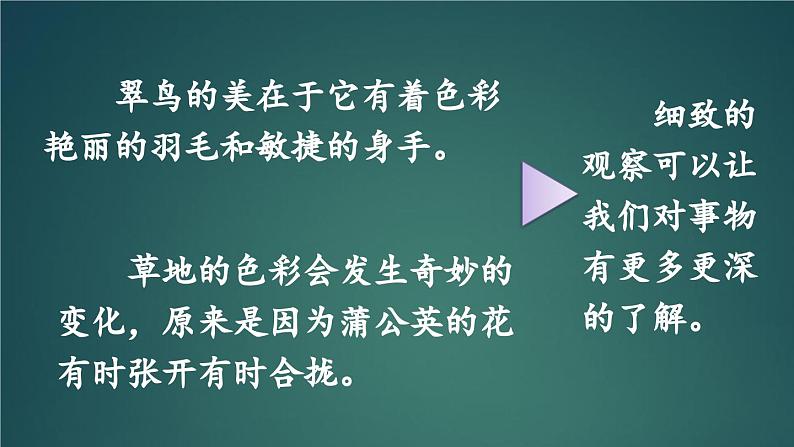 交流平台·初试身手·习作例文 课件-部编版语文三年级上册03