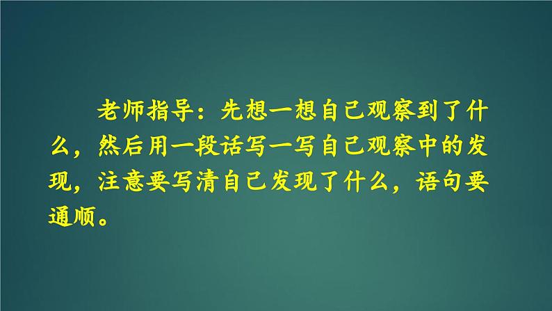 交流平台·初试身手·习作例文 课件-部编版语文三年级上册07