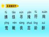 人教版语文二年级下册总复习课件