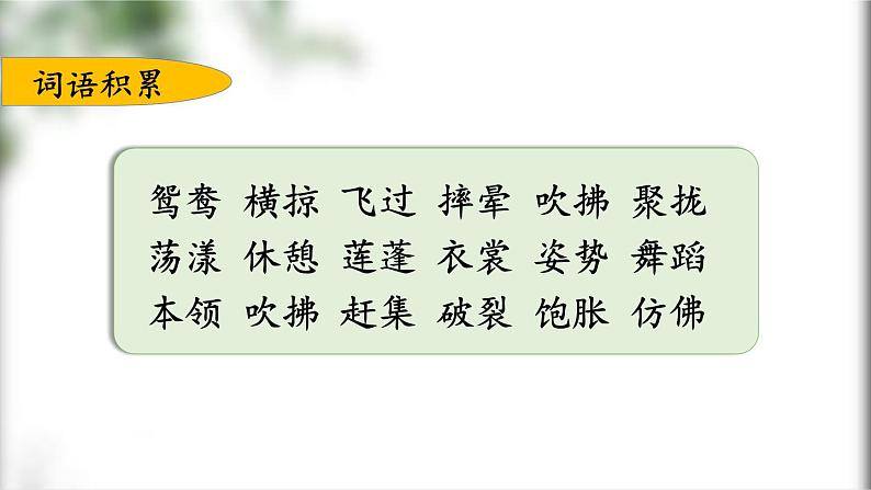 人教版语文三年级下册总复习课件第5页