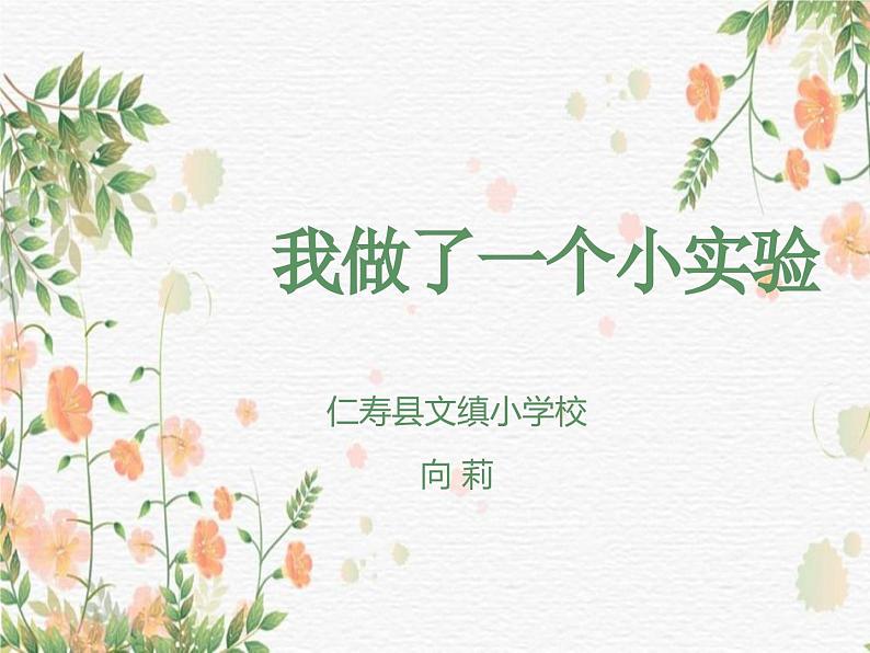 习作：我做了一项小实验课件PPT01