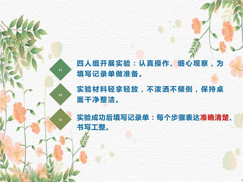 习作：我做了一项小实验课件PPT02