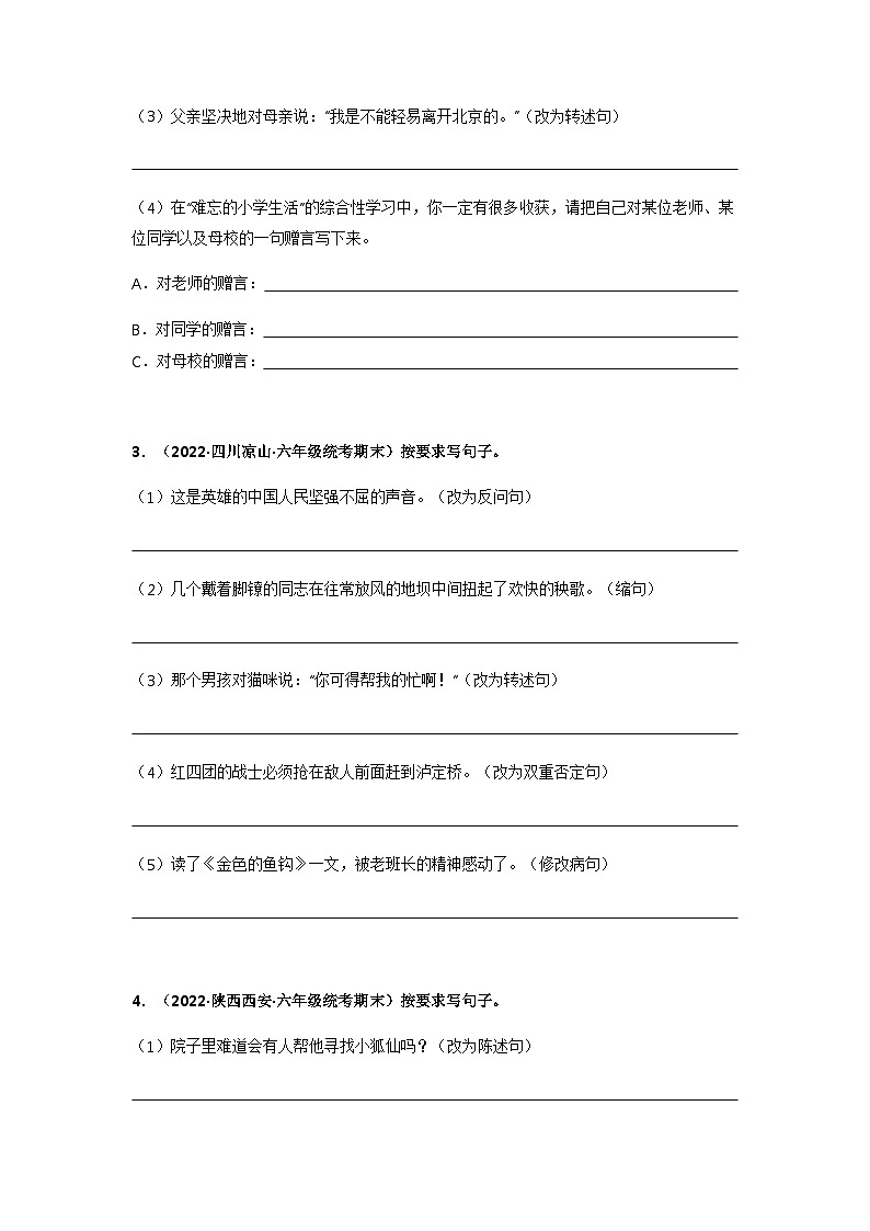 专题14 按要求写句子（原卷版）第2页
