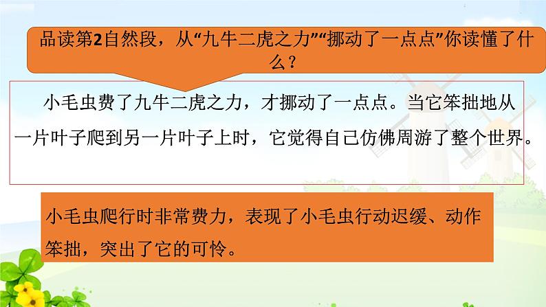 22《小毛虫》（第二课时）教学设计）课件PPT第5页