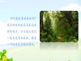 23 祖先的摇篮（1课件PPT