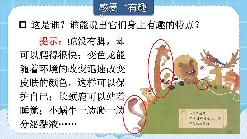 【部编版】二上语文  口语交际：有趣的动物（课件+教案）02