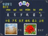 3 现代诗二首 课件-部编版语文四年级上册