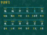 6 夜间飞行的秘密 课件-部编版语文四年级上册
