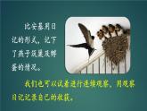 习作：写观察日记 课件-部编版语文四年级上册