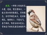 16 麻雀 课件-部编版语文四年级上册