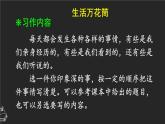 习作：生活万花筒 课件-部编版语文四年级上册
