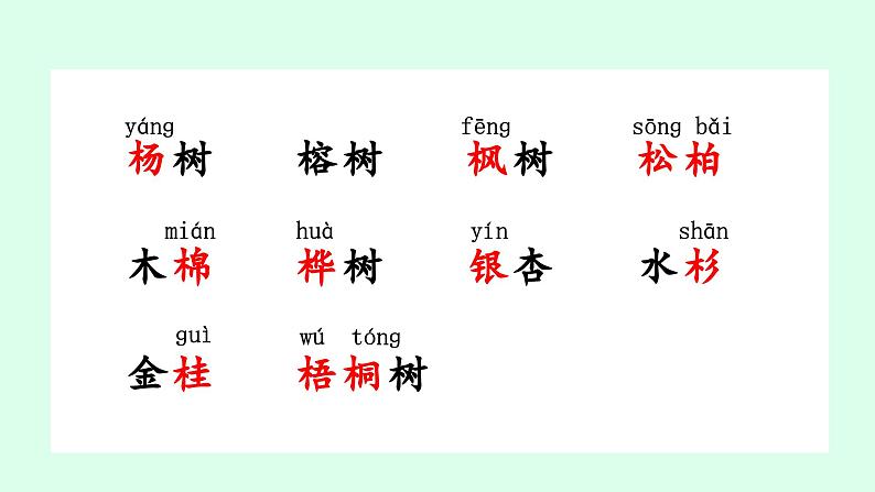 识字2 树之歌第1课时教学课件第6页