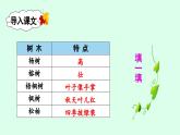 识字2 树之歌第2课时教学课件