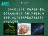 2 我是什么 课件-部编版语文二年级上册