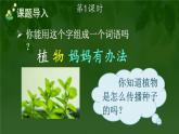 3 植物妈妈有办法 课件-部编版语文二年级上册