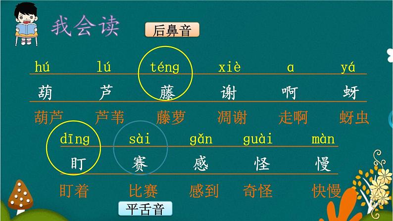 14 我要的是葫芦 课件-部编版语文二年级上册06