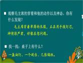15 八角楼上 课件-部编版语文二年级上册