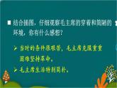 15 八角楼上 课件-部编版语文二年级上册