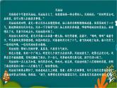 24 风娃娃 课件-部编版语文二年级上册