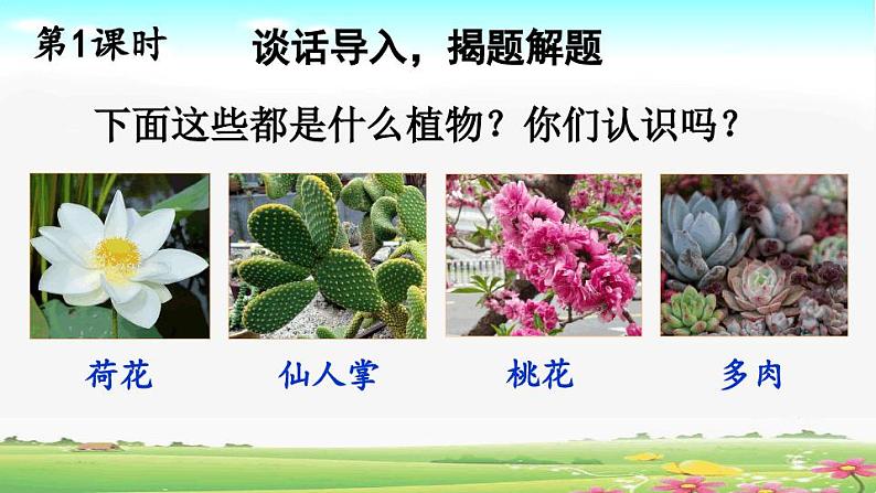 部编人教版语文三年级下册第一单元《习作：我的植物朋友》课件PPT第2页