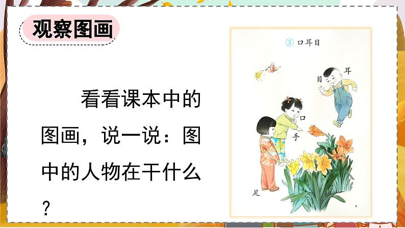 统编版语文一（上）识字第1单元   识字3  口耳目  PPT课件+教案+练习03