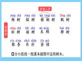 统编版语文2年级上册 第2单元 2 树之歌 PPT课件+教案