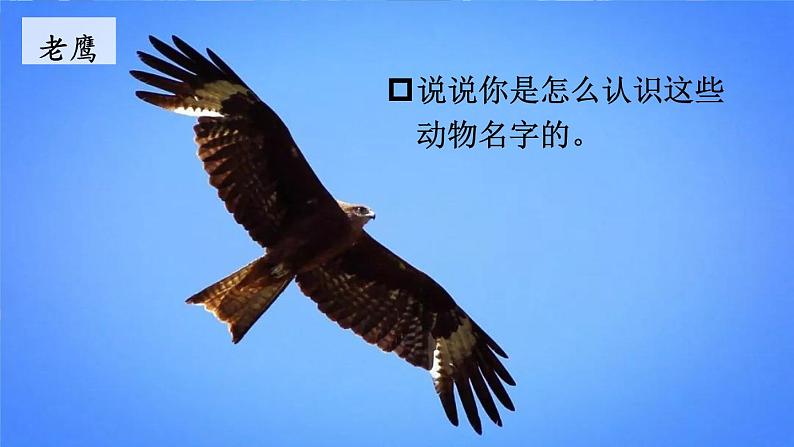 统编版语文2年级上册 第2单元 3 拍手歌 PPT课件+教案07