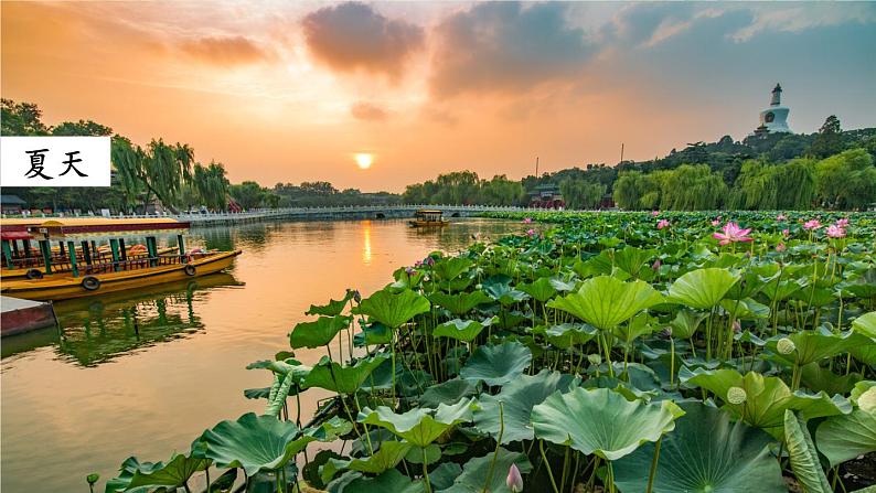 统编版语文2年级上册 第2单元 4 田家四季歌 PPT课件+教案03