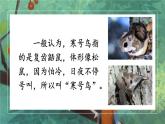 统编版语文2年级上册 第5单元 13 寒号鸟 PPT课件+教案