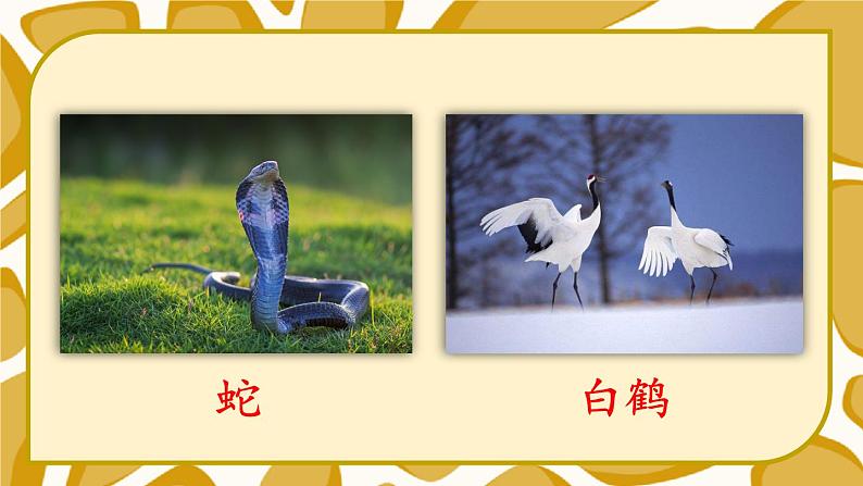 统编版语文2年级上册 第8单元 语文园地八 PPT课件+教案04