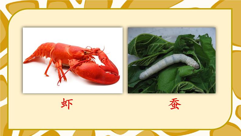 统编版语文2年级上册 第8单元 语文园地八 PPT课件+教案07