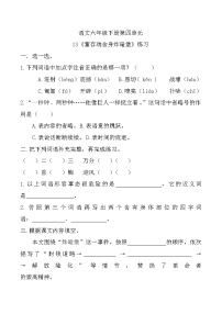 小学语文人教部编版六年级下册董存瑞舍身炸暗堡课时作业