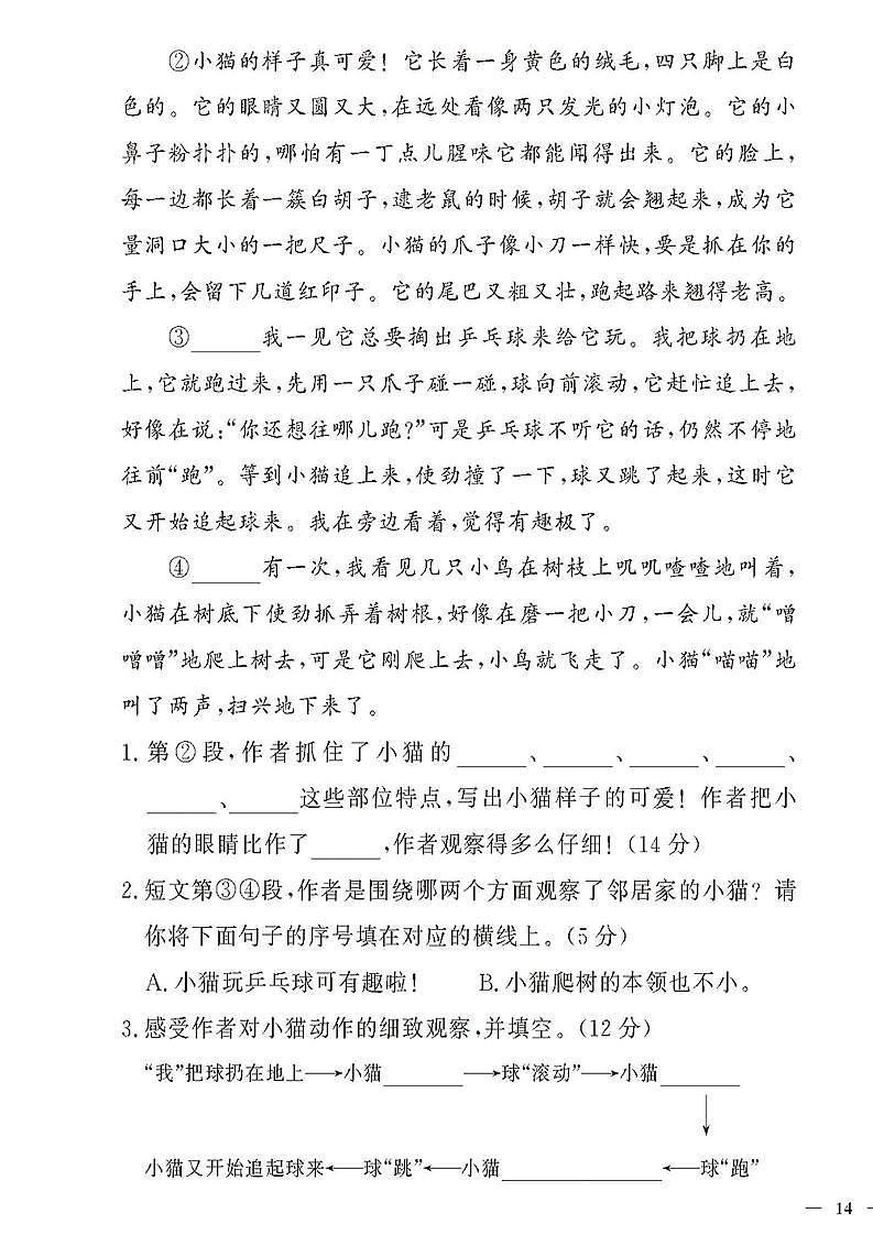 （2023秋）人教版（小学）语文（三上）-同步扩展阅读-第5-8单元阅读训练（共4套）第3页