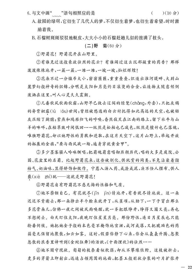 （2023秋）人教版（小学）语文（五上）-同步扩展阅读-专项阅读训练（一）（共4套）第3页