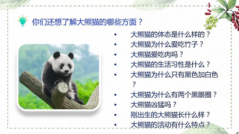 第七单元 习作： 国宝大熊猫（课件）-2022-2023学年语文三年级下册同步作文（部编版）第7页