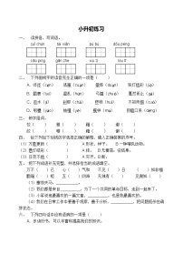 六年级语文小升初精品模拟试卷（含解析）