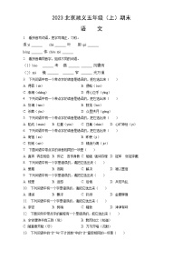 2023北京顺义五年级（上）期末语文（教师版）