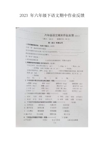 浙江省金华市义乌市苏溪镇西山下小学2022-2023学年六年级下学期4月期中语文试题