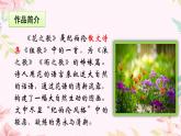 六上语文4.花之歌课件PPT