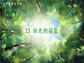 人教版二年级语文下册 23 祖先的摇篮（课件）