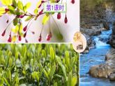 人教版二年级语文下册 2 找春天（课件）