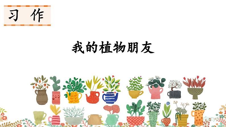 《习作：我的植物朋友》课件06