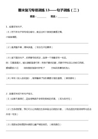 统编版小学语文四年级下册期末复习专项训练题13——句子训练（二）