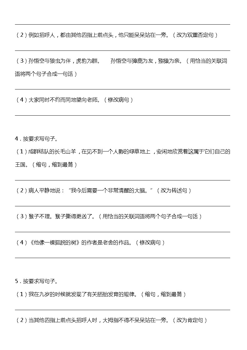 统编版小学语文五年级下册期末复习专项训练题12——句子训练（一）第2页