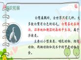 五上语文1 白鹭课件PPT