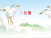 五下1白鹭课件